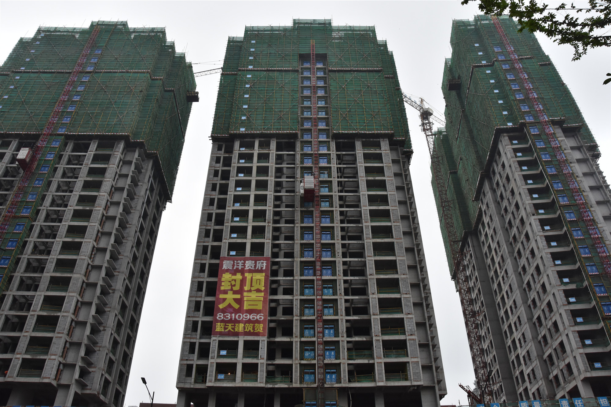 封頂照 _副本.jpg